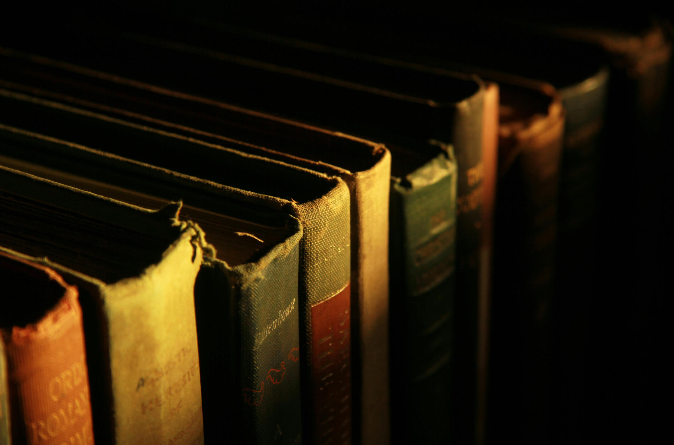 books in shadows on a bookshelf